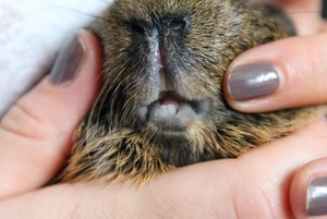 IMG_5273 (640x427).jpg