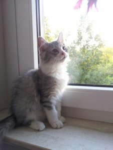 IMG-20130728-WA0034.jpg IMG-20130728-WA0034.jpg