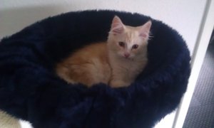 IMAG1421.jpg IMAG1421.jpg