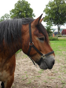 SAM_0633-001.JPG SAM_0633-001.JPG