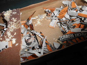 meine camara 049.JPG meine camara 049.JPG