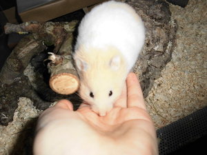 meine camara 060.JPG meine camara 060.JPG