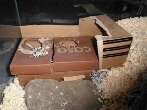 meine camara 051.JPG meine camara 051.JPG