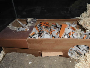 meine camara 048 - Kopie.JPG meine camara 048 - Kopie.JPG