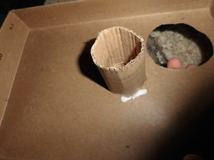 meine camara 052.JPG meine camara 052.JPG