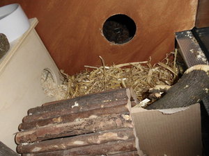 meine camara 057.JPG meine camara 057.JPG