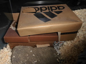 meine camara 053.JPG meine camara 053.JPG