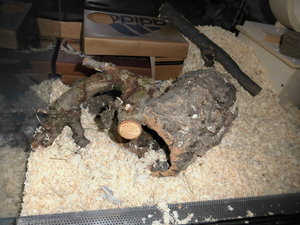 meine camara 055.JPG