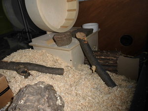 meine camara 056.JPG