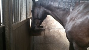 IMG-20130731-WA0004.jpg IMG-20130731-WA0004.jpg