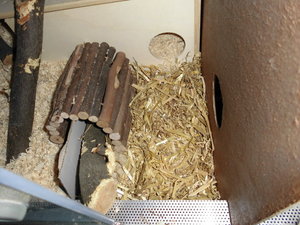 Tapsis reich 012.JPG