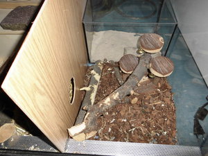 Tapsis reich 013.JPG