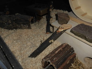 Tapsis reich 015.JPG