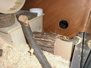 meine camara 058.JPG