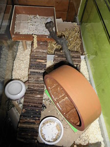 Hamster gehege 013.JPG