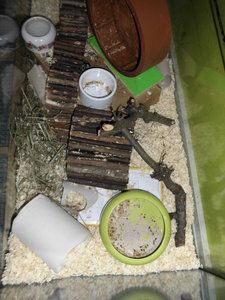 Hamster gehege 014.JPG