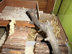 Hamster gehege 016.JPG