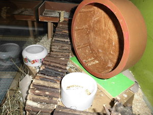 Hamster gehege 017.JPG