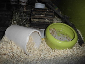Hamster gehege 018.JPG