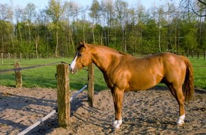 Neues Bild4.JPG Neues Bild4.JPG