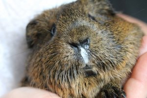 IMG_5275 (640x427).jpg IMG_5275 (640x427).jpg