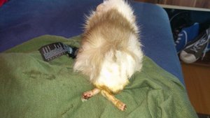 DSC_2459 (640x360).jpg DSC_2459 (640x360).jpg