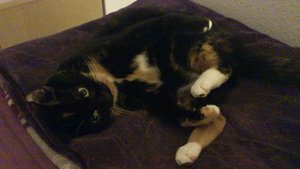 13.05.2012 171.jpg 13.05.2012 171.jpg