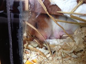 536872_595508867136512_667839160_n.jpg 536872_595508867136512_667839160_n.jpg