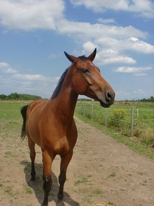 CIMG4731+.JPG CIMG4731+.JPG