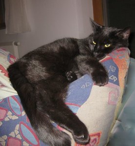 3331353937666439.jpg 3331353937666439.jpg