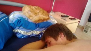 548866_697313220295147_1387224321_n.jpg 548866_697313220295147_1387224321_n.jpg