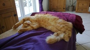 1006018_701103663249436_636090543_n.jpg 1006018_701103663249436_636090543_n.jpg