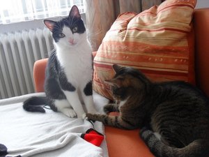 SDC10785.JPG SDC10785.JPG