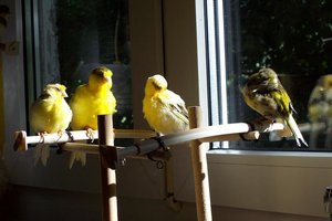 100_6521.JPG 100_6521.JPG