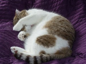 P1040473.JPG P1040473.JPG