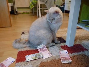 P1060698.JPG P1060698.JPG