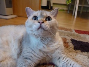 P1060691.JPG P1060691.JPG