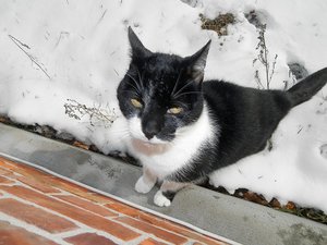 dce63a7l.jpg dce63a7l.jpg