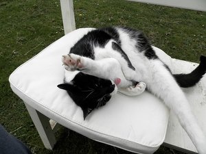 9zu2bh9r.jpg 9zu2bh9r.jpg