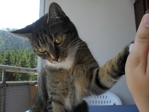 SDC11194.JPG SDC11194.JPG