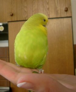 Zwischenablage01.jpg Zwischenablage01.jpg