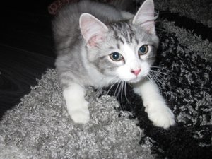 IMG_3456.JPG IMG_3456.JPG