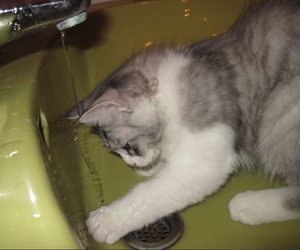 Unbenannt.JPG Unbenannt.JPG