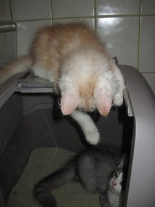 IMG_3485.JPG IMG_3485.JPG