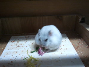 2013-08-07 14.16.15.jpg