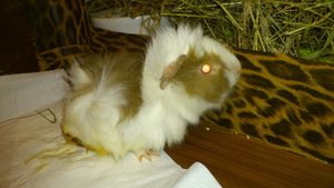 DSC_2465 (640x360).jpg DSC_2465 (640x360).jpg