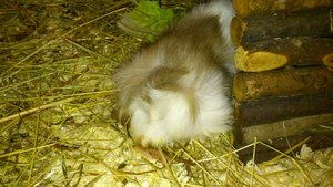 DSC_2470 (640x360).jpg DSC_2470 (640x360).jpg