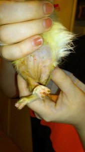 DSC_2471 (360x640).jpg DSC_2471 (360x640).jpg