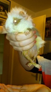 DSC_2472 (360x640).jpg DSC_2472 (360x640).jpg