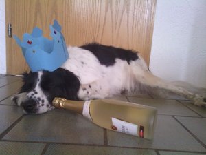 Königin der Herzen.jpg